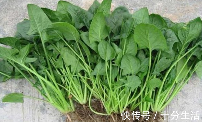 子宮|女人來大姨媽，多吃2種菜，多喝2杯水，排出污血，子宮更健康