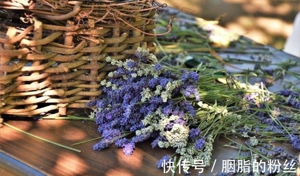 白羊座|下礼拜，桃花闪烁，挚爱回首，前任回首，勇敢追求，再续良缘