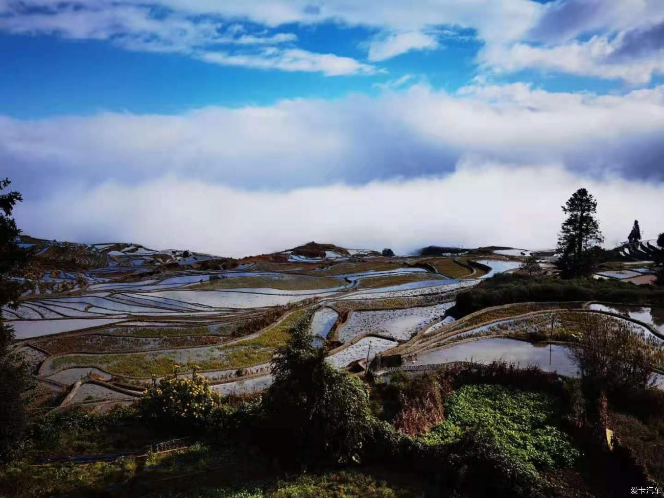 游红河哈尼族彝族自治州多依树梯田景区