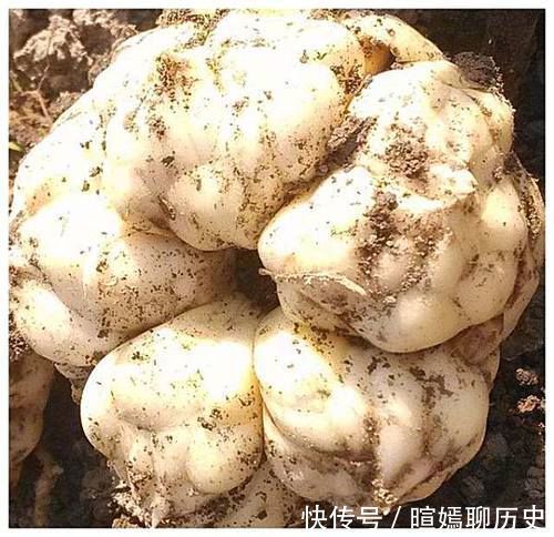 雌激素|女人再节俭6种碱性食物也要吃,补充天然雌激素,防早更显年轻