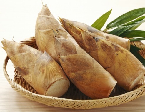 骨质疏松|竹笋营养价值高，但以下4类人不能吃，吃了就是“没病找病”！