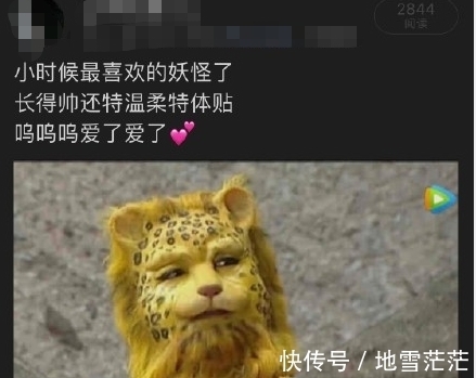 最近的朋友圈,跑进来一只豹子