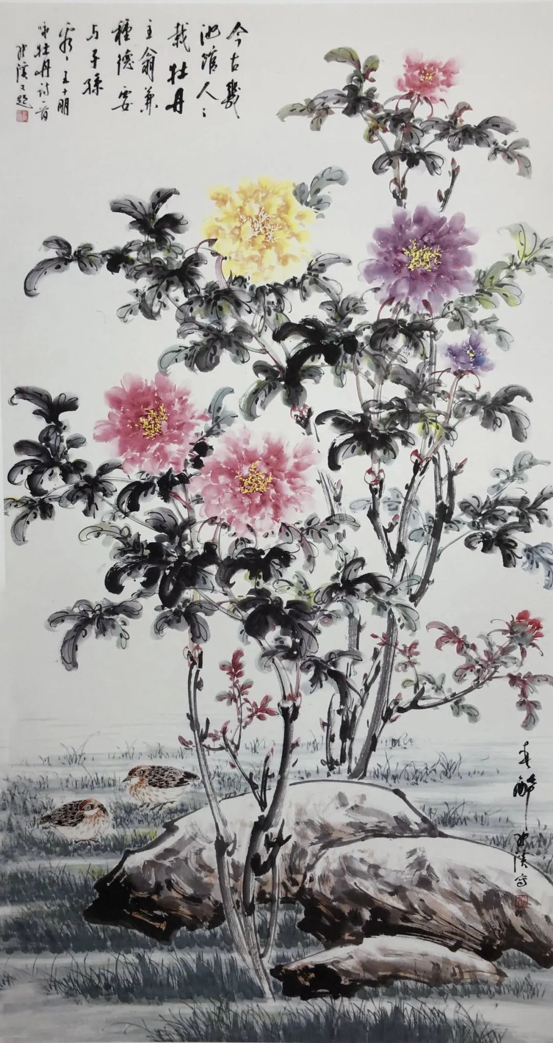 笔墨!妙造自然·巧得天趣——张秋波小写意花鸟画艺术品鉴