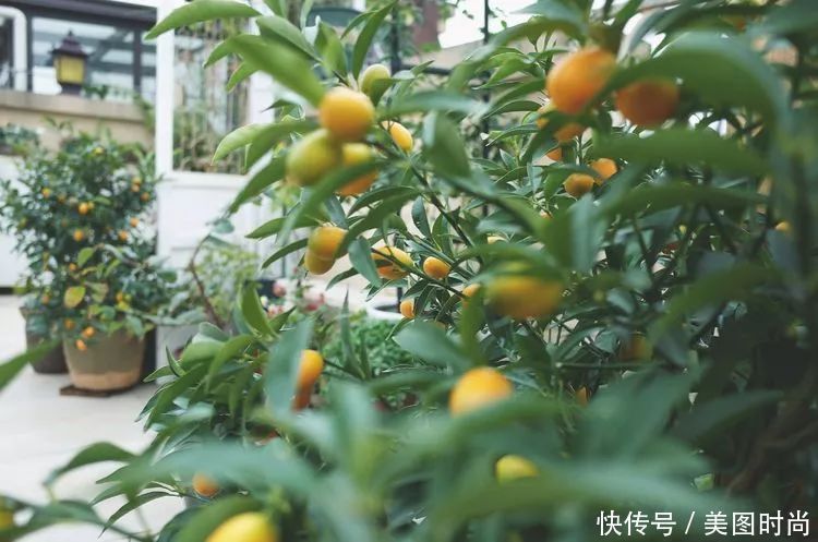 130㎡大露台，花1年改造成“花草蔬果园”，体验屋顶上的田园生活