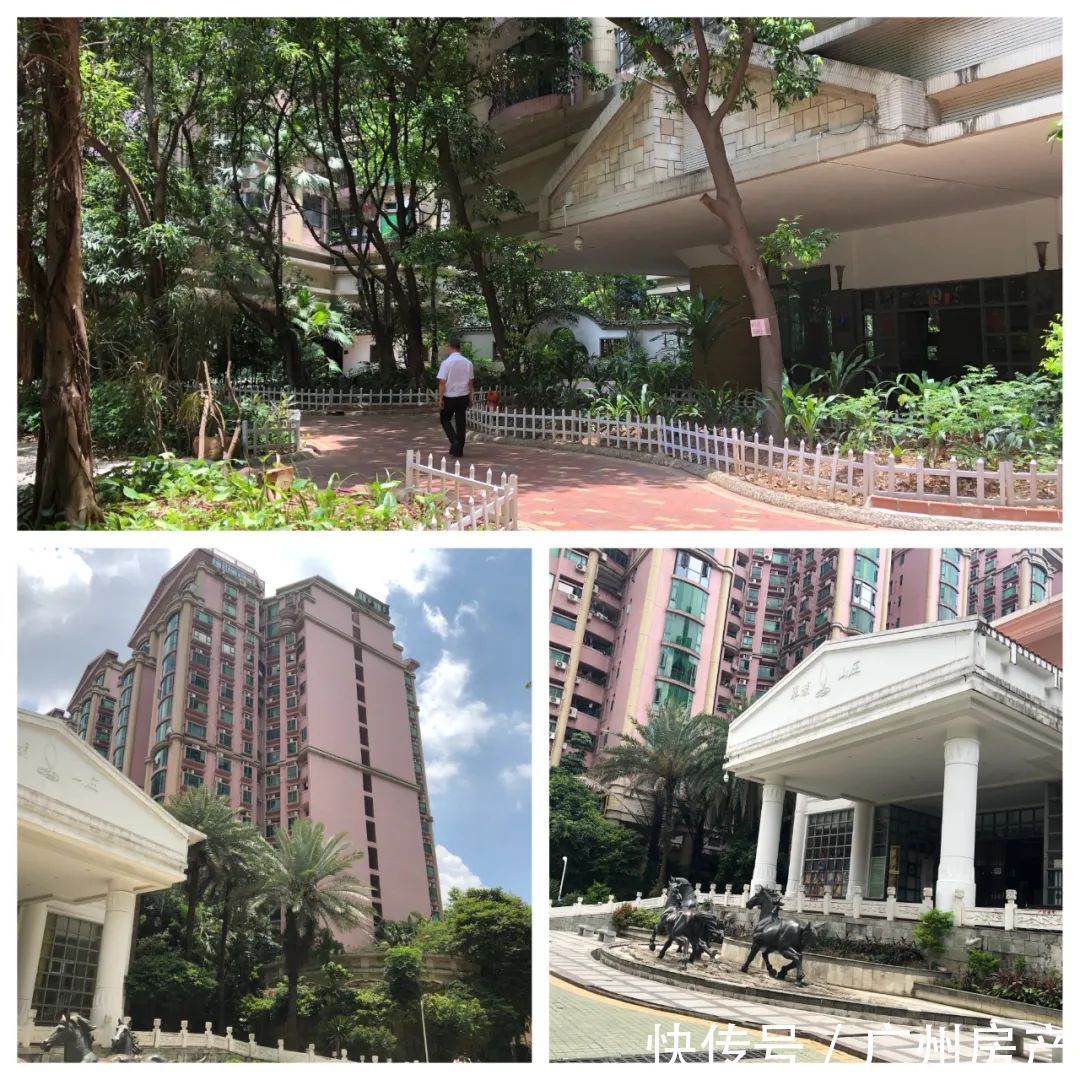 户型|天河60个小区涨幅榜出炉!有盘沦为小透明……