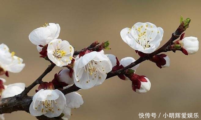 罗隐:唐朝混得最惨的诗人,10次科举都没中,他的诗却美如画卷