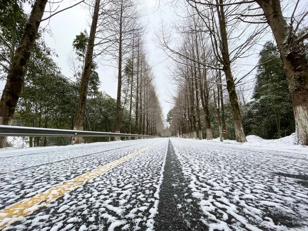 胡惠菲|庆元绝美雪景大片，上新了！