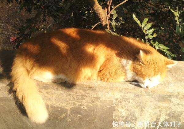  冬至|冬至前4天做这几件事，散掉身体1年的寒气