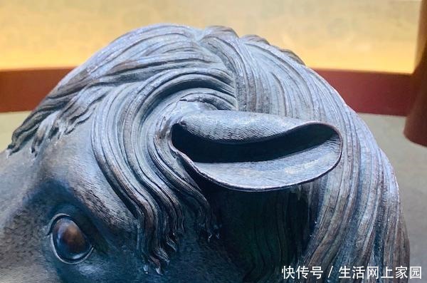 回家|现场|结束百年流离,圆明园马首终于“回家”了