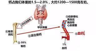 每天喝牛奶的人与不喝牛奶的人有什么区别？