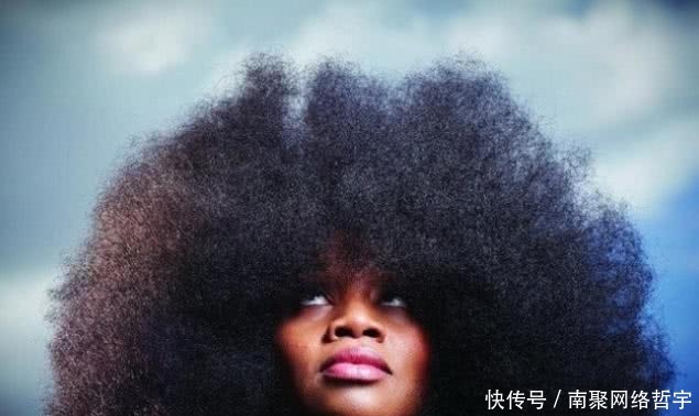 中国|最奇葩的吉尼斯纪录:中国的很特别,日本的太搞笑,网友表示不服