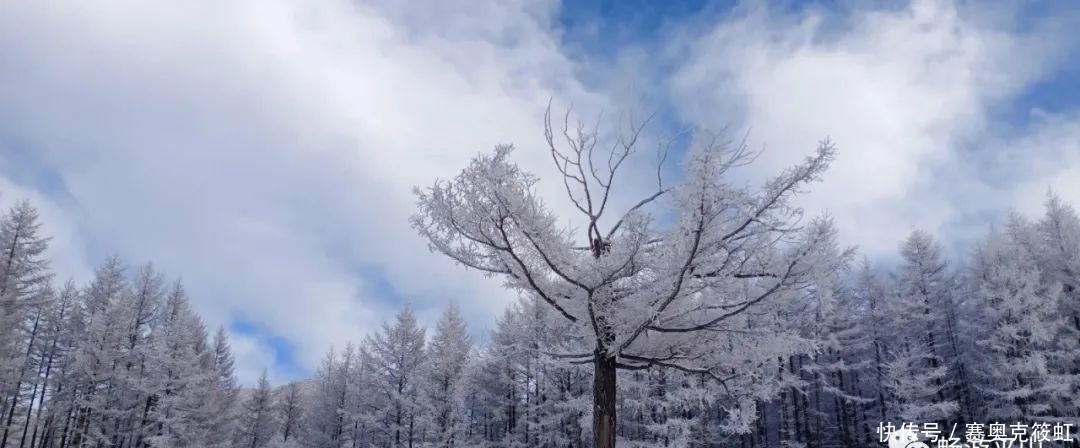 北国风光，雪域驼梁