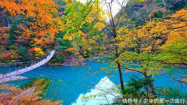 东京近郊除了富士山，还有“梦之吊桥”！小众且唯美，很适合拍照