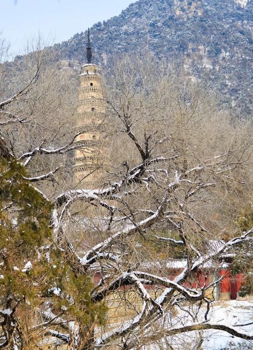 济南|冬日的济南城，一下雪就美成了仙境