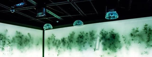 省博物馆|泛亚视野|文物的时空漫游,用文物穿越中华5000年