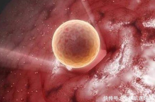 试管婴儿|女性做试管婴儿到底有多疼？镜头记录全过程，母亲真伟大！