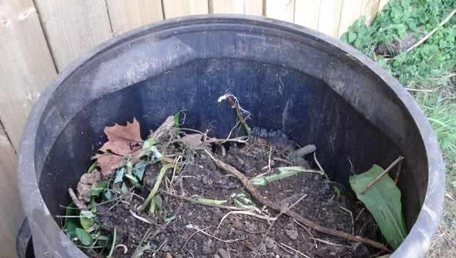 养花不用买肥料,一个小窍门,生活垃圾变成肥沃透气松软的有机肥