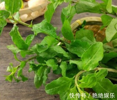 野菜|以下3种野菜能强身健体，生津补肝，降三高，值得称赞