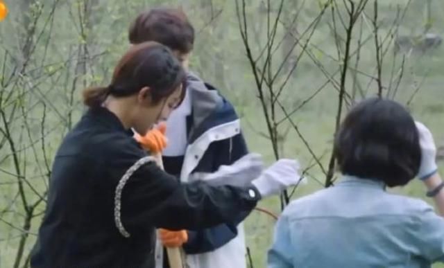 张艺兴《向往5》从不喝特仑苏,不是不能是不敢,一口赔偿上百万