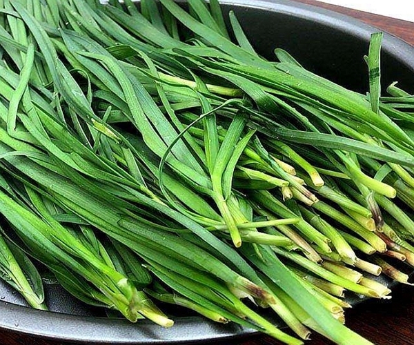 韭菜好吃有营养，但不能乱吃！韭菜的几种错误吃法，早知早受益