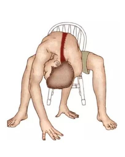 腹外斜肌|你要的拉筋，都在这里！