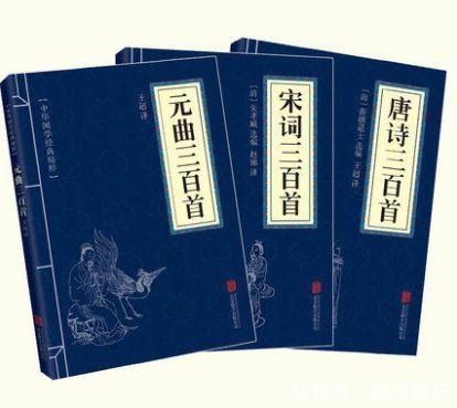 王力$中国现代语言学大师耗尽半生的扛鼎之作,打开传统文化大门这才是中国人的必读书
