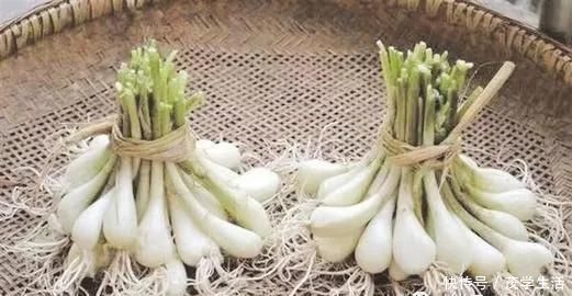 薤白|通血管不输三七,却便宜太多!农村遍地都是!