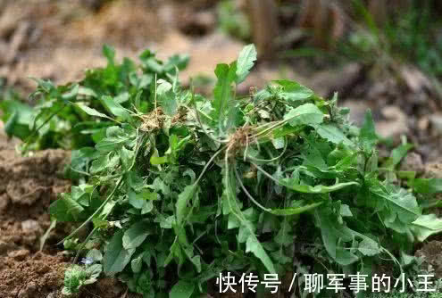 人体|超市里常见的三种养生食物，排毒养颜，延缓衰老，好处多多