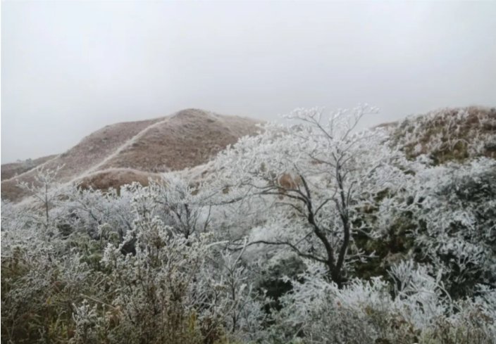 贵州多地迎来新年降雪！雪景太美了！