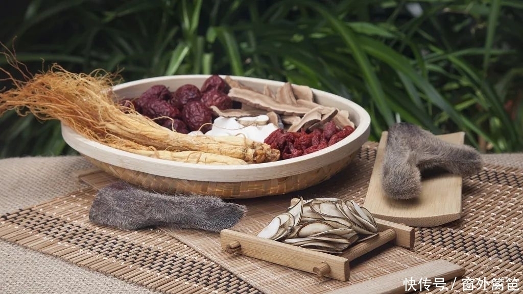 漏谷穴|脾若有病，人废一半！打通这条经络，重病、急病、怪病难上身！