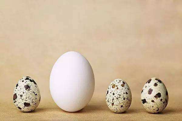 营养|鹌鹑蛋营养远胜于鸡蛋,吃对了,4大好处降临