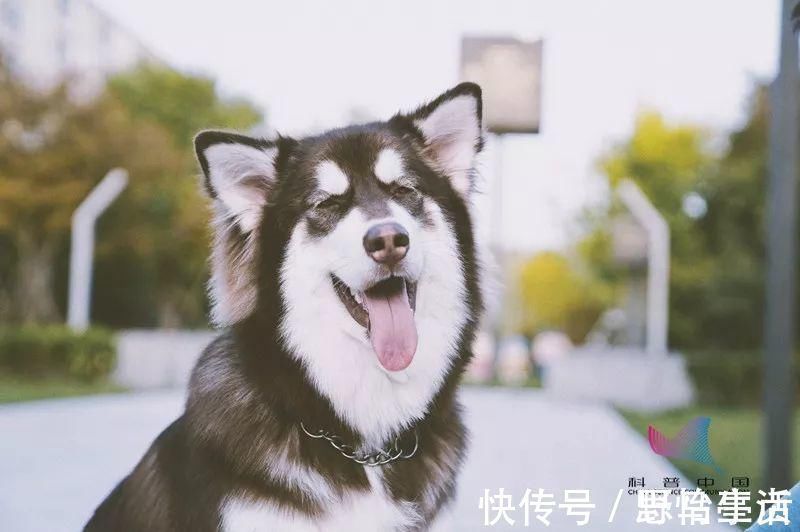 荆山玉@这些俗语被误传了很多年,原来都用错了!第一个你就不知道