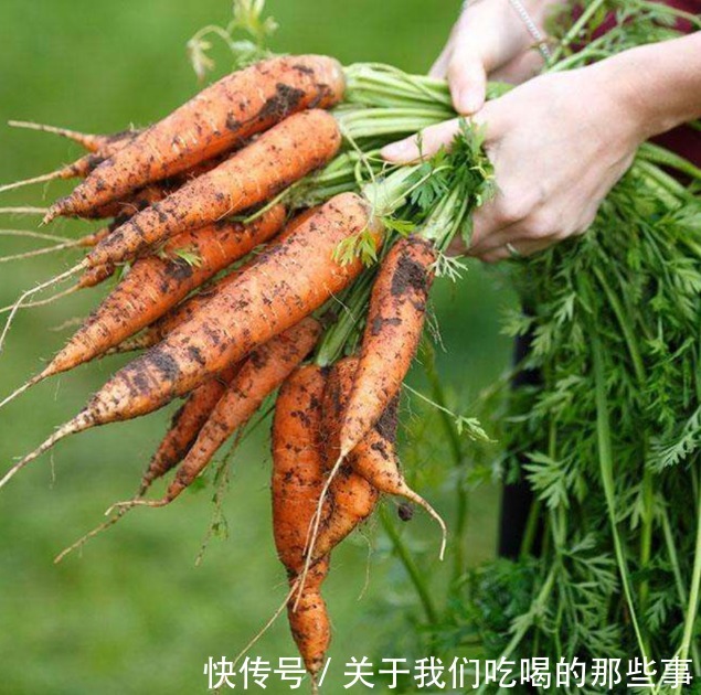 胡萝卜|买胡萝卜,带泥和不带泥哪种好?菜农从不吃这种,很多人却喜欢买
