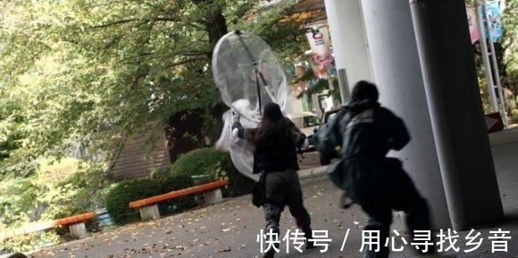伽古拉|泽塔奥特曼赛雷布洛终于落网了,伽古拉和遥辉选择离开地球!