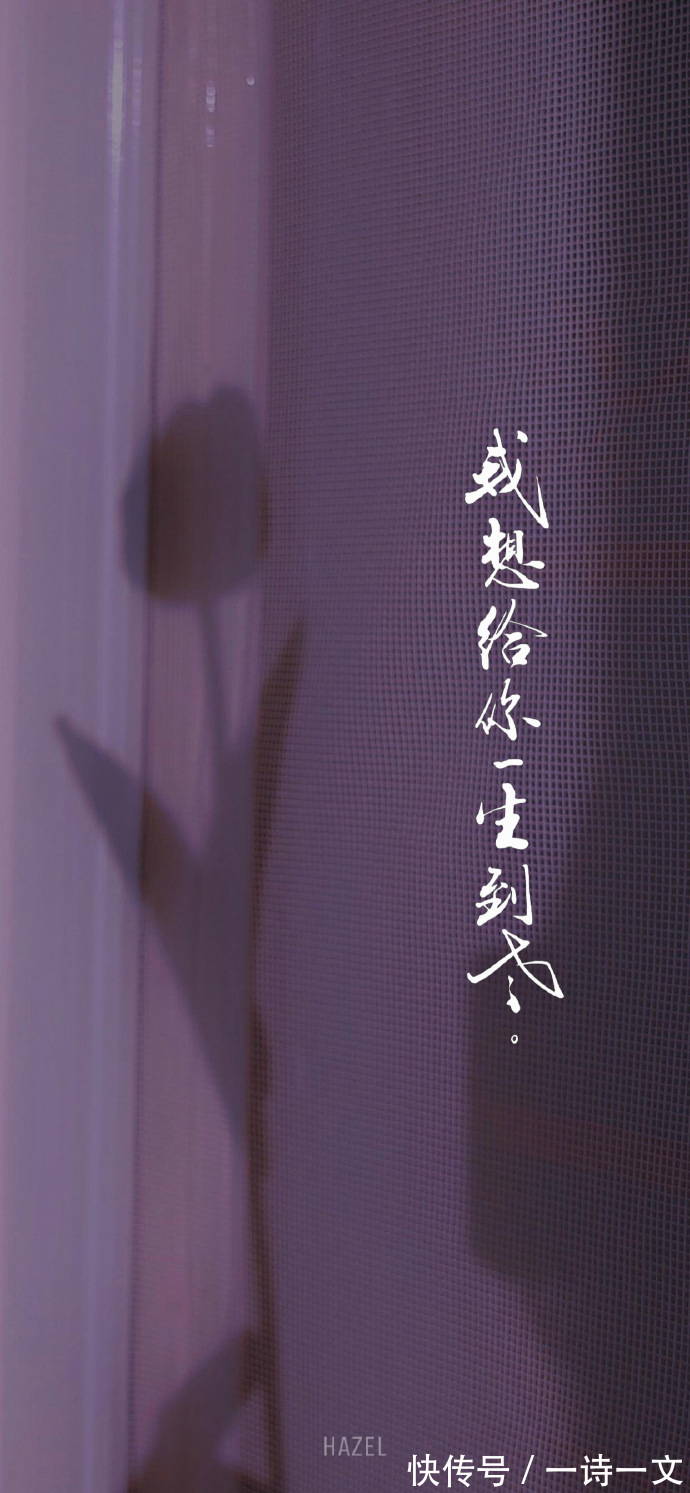 山百合&我是奔你而来,爱意自然汹涌