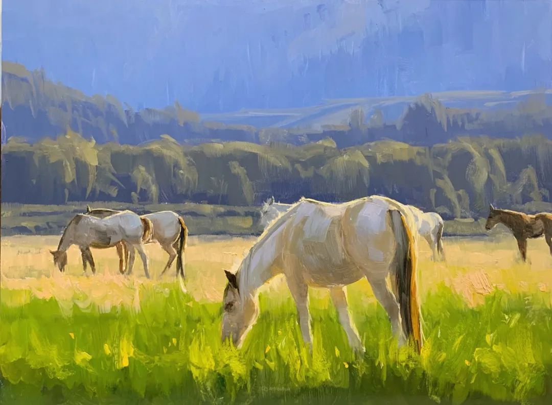 科罗拉多州@斯泰西·彼得森:半路出家的女画家,笔下的风景堪称一绝