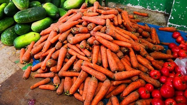 秋季碰到此菜，我准买20斤！营养极高，一晒一封，炖菜炒肉特香