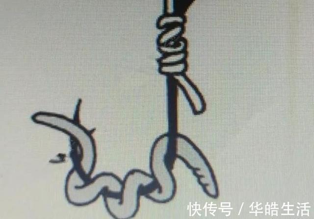 解析四种不同鱼情下蚯蚓的科学挂法，最后两种更是独创