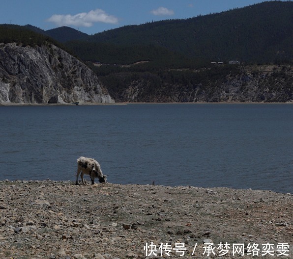 栖息|云南一低调的湖泊，被誉为“香格里拉眼泪”，秋季还有黑颈鹤栖息