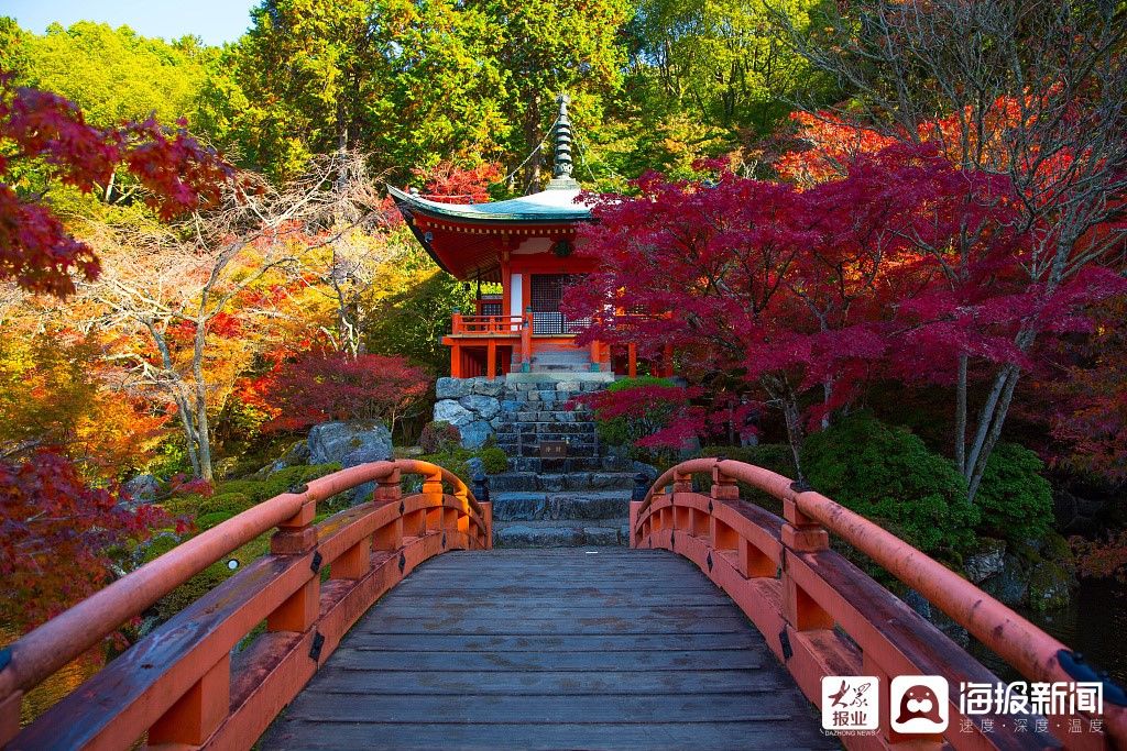 京都|京都醍醐寺内秋景美不胜收