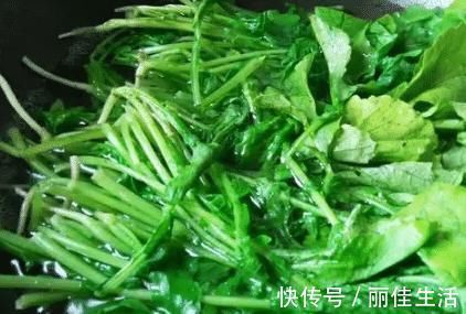 肉馅|秋天，吃菠菜不如吃此菜，钙是菠菜的4倍，包成饺子，吃起来真香！