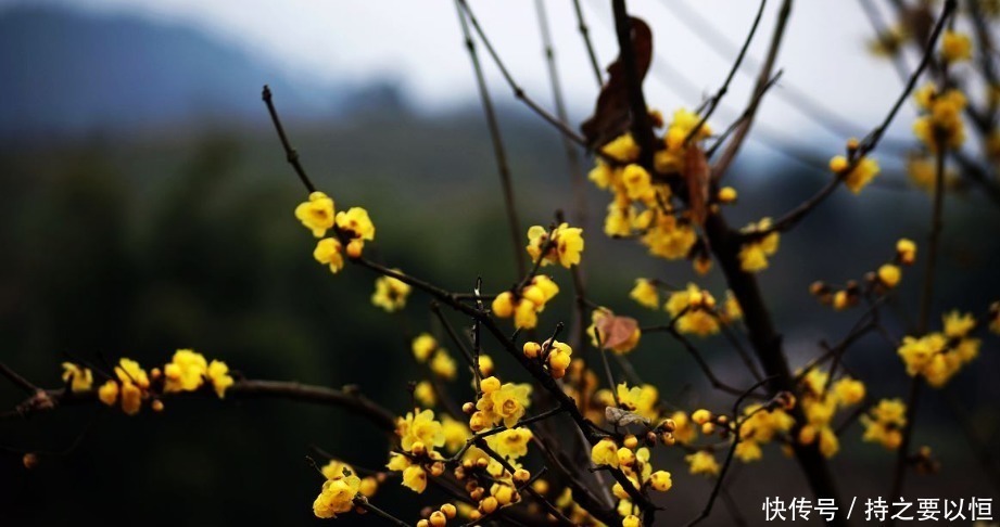 神宗实录#宋朝最难以定论的宰相,当时被骂大奸臣,死后却成千古名相!