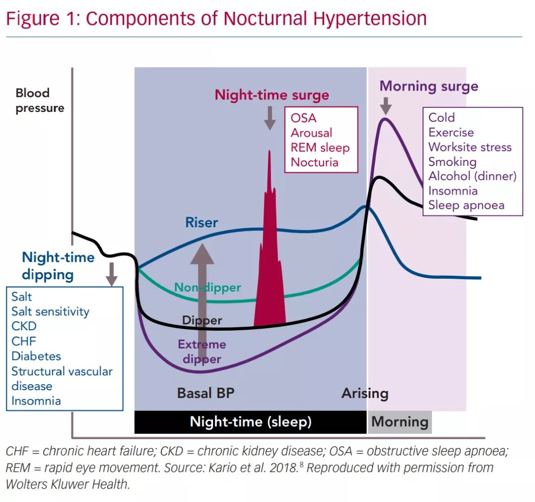 血压升高|夜间血压升高，心血管死亡风险增大！你的血压是正常的“杓型”吗