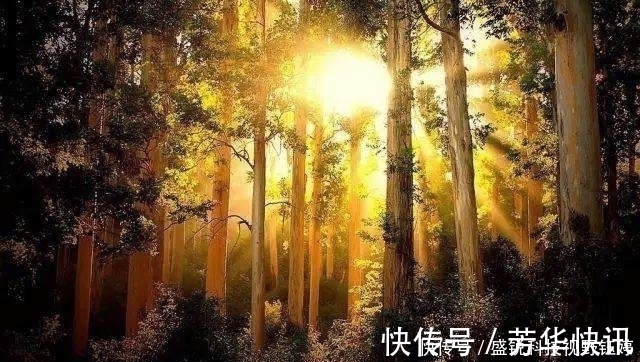 肚脐眼|阳气为什么可以治百病中医为你解密，简单3招补足阳气远离寒湿