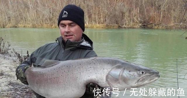 血管健康|医生提醒4种鱼可能影响健康,尽量少吃,建议及早了解!