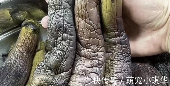 食材|这食材正当季，不晒也不腌，蒸一蒸存到冰箱，冬季炒肉炖汤真美味