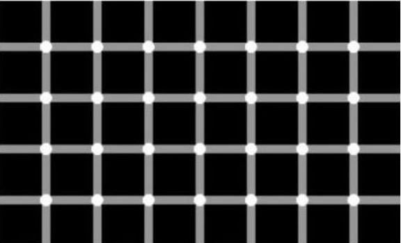 头脑|最新老年痴呆测试:图中大象一共有多少条腿?答对的人头脑很聪明