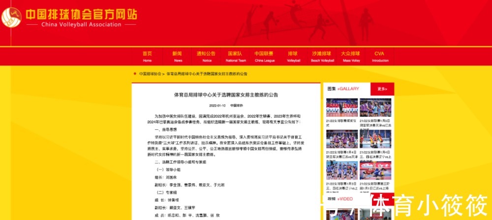 张欣|中国女排选帅专家组正式成立,新帅人选或将很快揭晓?