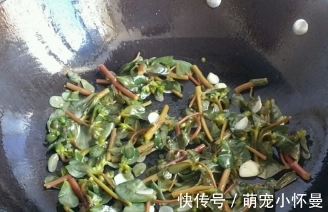 金不换|秋后的“金不换”,补铁是菠菜的2倍,炒一炒就上桌,吃着香