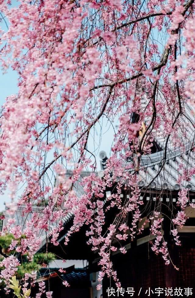 李隆范|六首描写江南的诗词, 带你游遍好风光